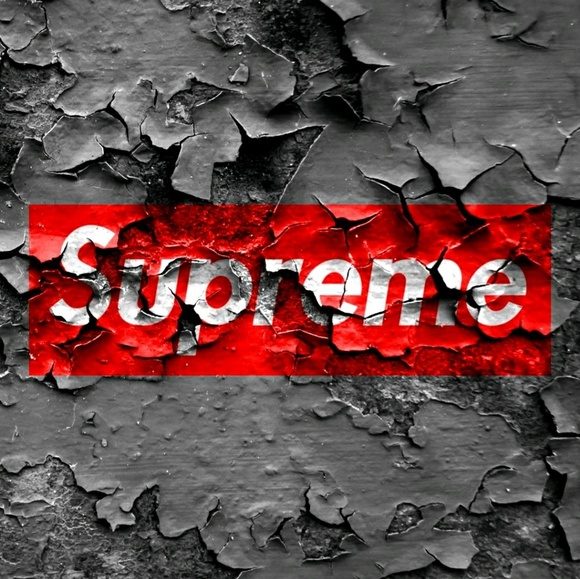 Meet your Posher, Brody - Picture 1 of 1